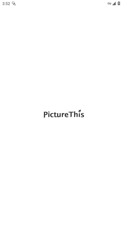 picture this