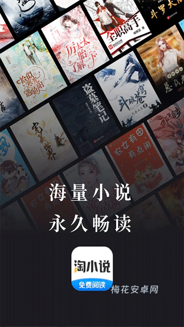 淘小说