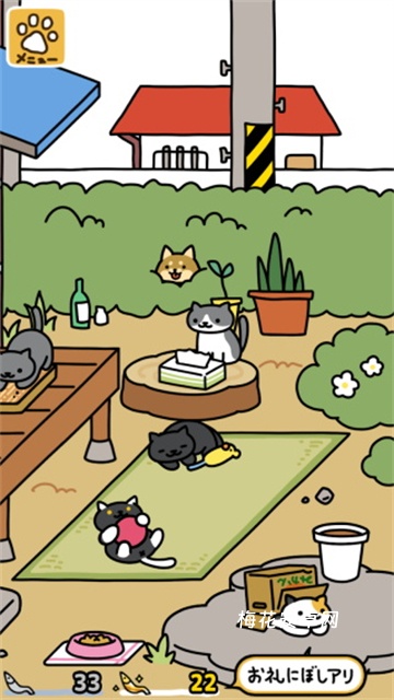 猫咪后院2