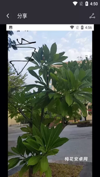 照片水印_https://www.nk-zx.com_手机美化_第4张