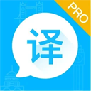 英语翻译