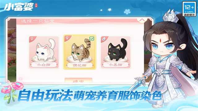 小富婆