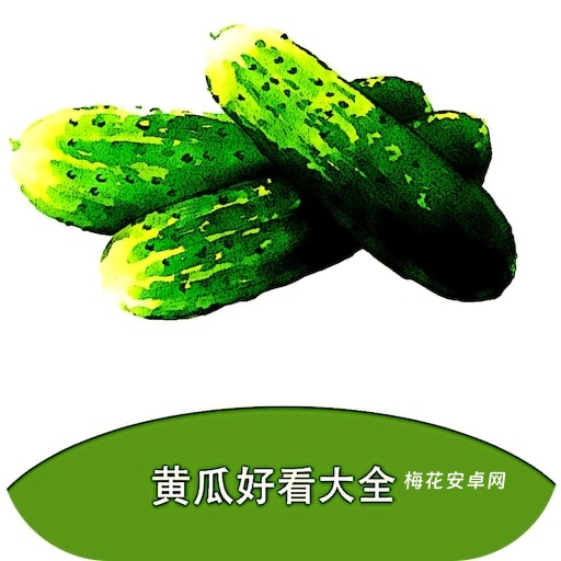 黄瓜阅读