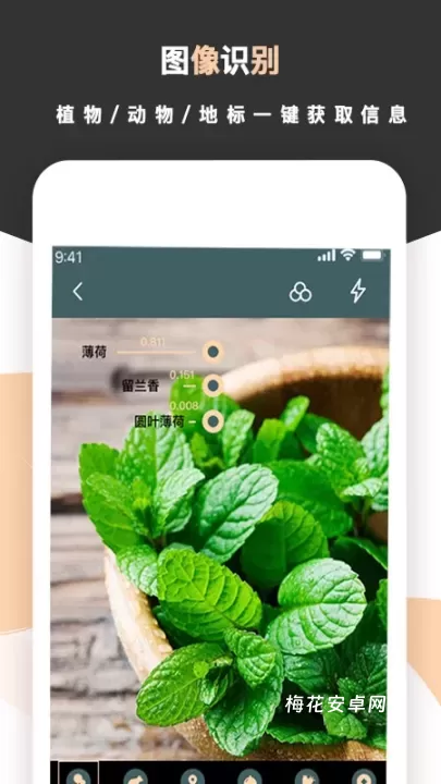 标准扫描王_https://www.nk-zx.com_学习办公_第1张