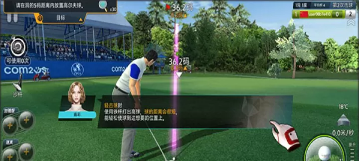 高尔夫之星_https://www.nk-zx.com_模拟经营_第4张