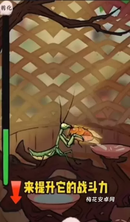 极品螳螂_模拟经营_第11张_梅花安卓网 极品螳螂_https://www.nk-zx.com_模拟经营_第11张