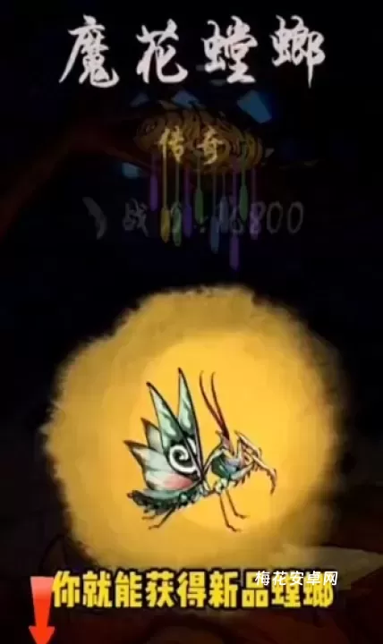 极品螳螂_模拟经营_第13张_梅花安卓网 极品螳螂_https://www.nk-zx.com_模拟经营_第13张